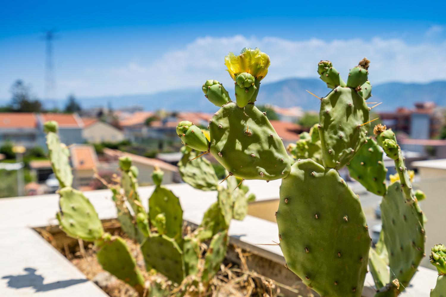 Capo Peloro Hotel (Adults Only) Torre di Faro Екстериор снимка